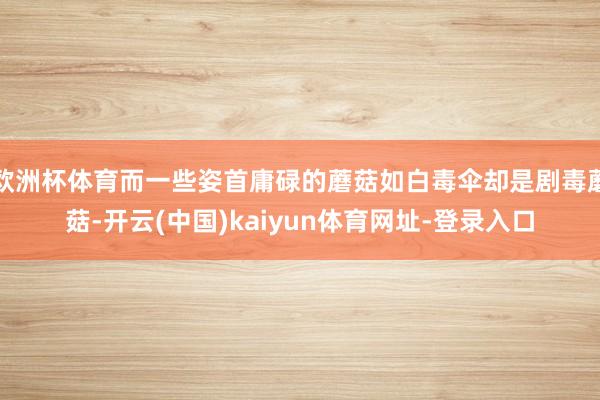 欧洲杯体育而一些姿首庸碌的蘑菇如白毒伞却是剧毒蘑菇-开云(中国)kaiyun体育网址-登录入口