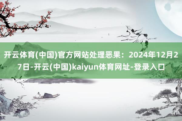 开云体育(中国)官方网站处理恶果：2024年12月27日-开云(中国)kaiyun体育网址-登录入口