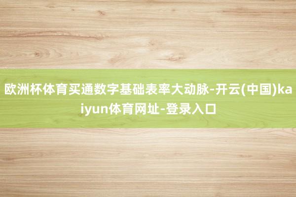 欧洲杯体育买通数字基础表率大动脉-开云(中国)kaiyun体育网址-登录入口